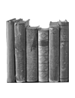 Stories Icon