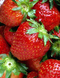 Our Strawberries have Arrived!